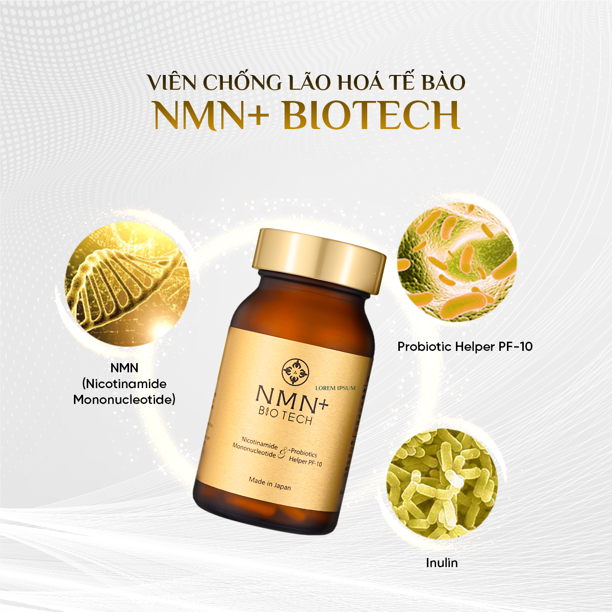 Viên Uống Chống Lão Hóa Cấp Độ Tế Bào NMN+ Biotech - Hình ảnh 3