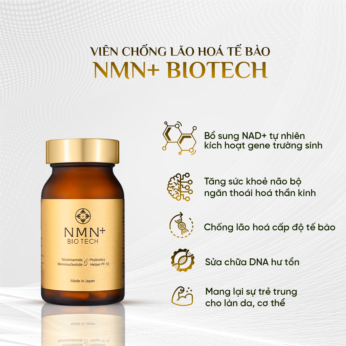 Viên Uống Chống Lão Hóa Cấp Độ Tế Bào NMN+ Biotech - Hình ảnh 4